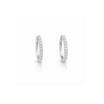 Huggies hoop Earrings